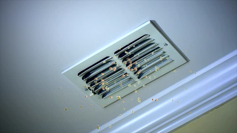 Best HVAC Duct Inspection Services  in Amity, OR